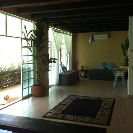 Casa Guacamaya Hotell Palenque Eksteriør bilde