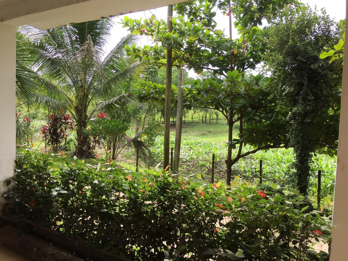 Casa Guacamaya Hotell Palenque Eksteriør bilde
